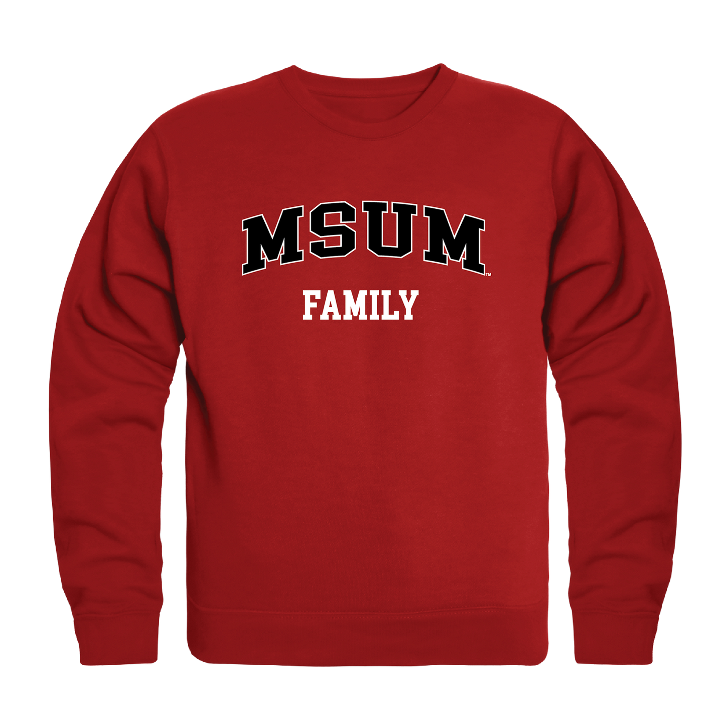 MSUM Minnesota State University Moorhead Dragons Family Crewneck Pullover Sweatshirt Sweater