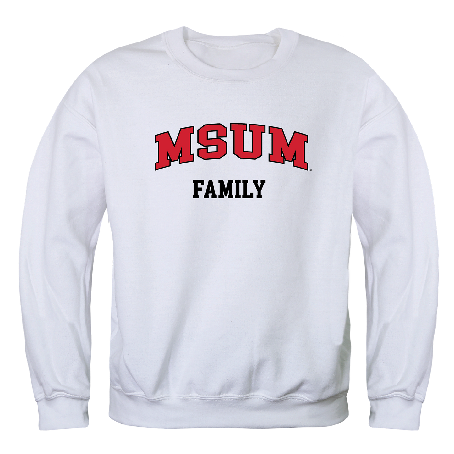 MSUM Minnesota State University Moorhead Dragons Family Crewneck Pullover Sweatshirt Sweater