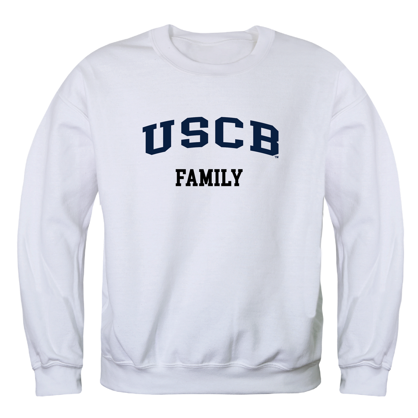 University of South Carolina Beaufort Family Crewneck Pullover Sweatshirt Sweater