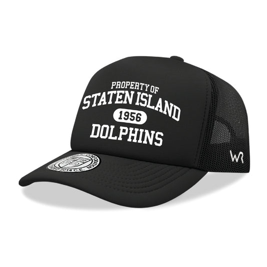 College of Staten Island Dolphins Property College Cap Hat - Black