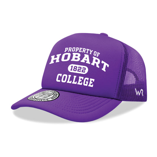 Hobart & William Smith Colleges Statesmen Property College Cap Hat - Purple