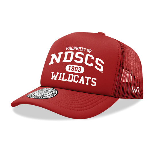 NDSCS Wildcats Property College Cap Hat - Red