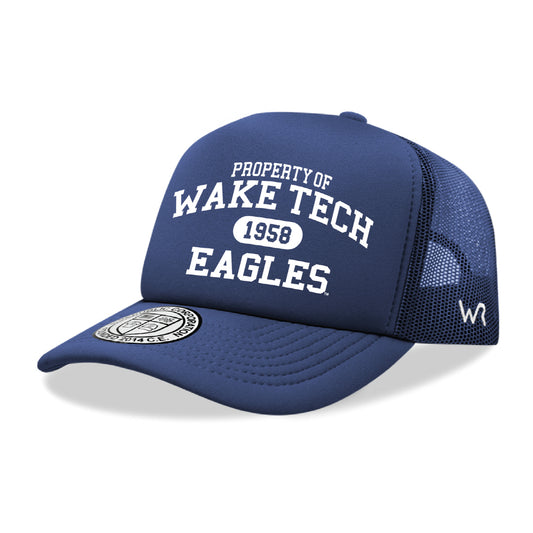 Wake Tech Eagles Property College Cap Hat - Navy