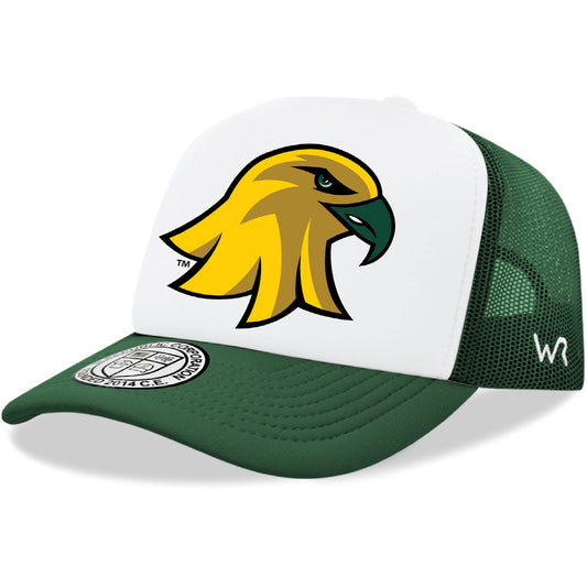 SUNY College at Brockport Golden Eagles Jumbo College Cap Hat - Forest Green