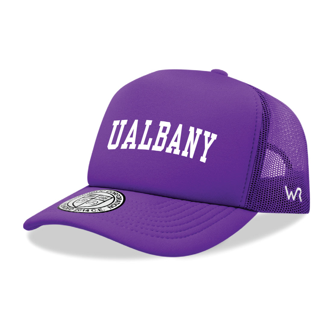 University at Albany Great Danes Game Day Printed Hat - Purple