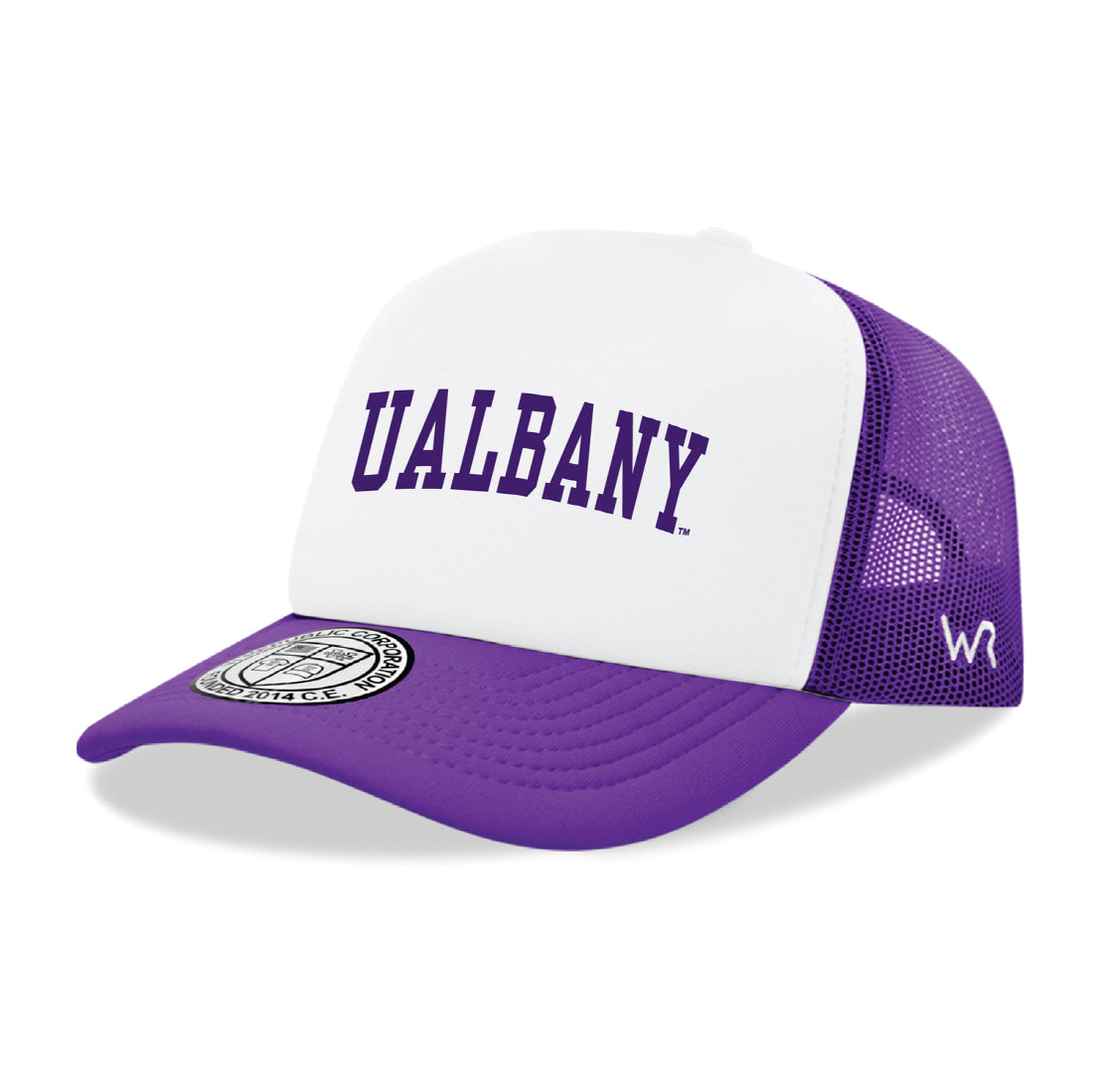 University at Albany Great Danes Game Day Printed Hat - Purple