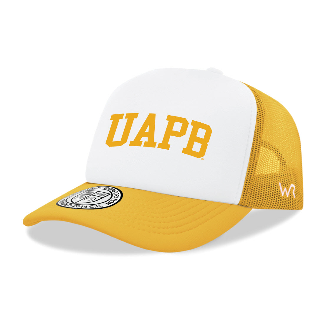 University of Arkansas at Pine Bluff Golden Lions Game Day Printed Hat - Black