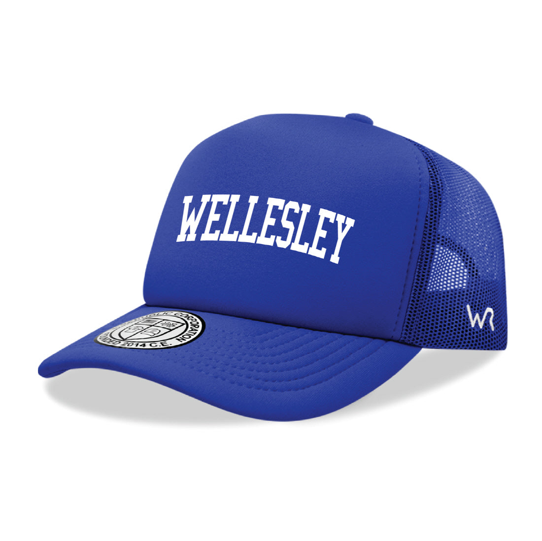 Wellesley College Blue Game Day Printed Hat - Royal