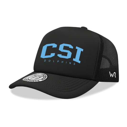 College of Staten Island Dolphins Game Day Printed Hat - Black