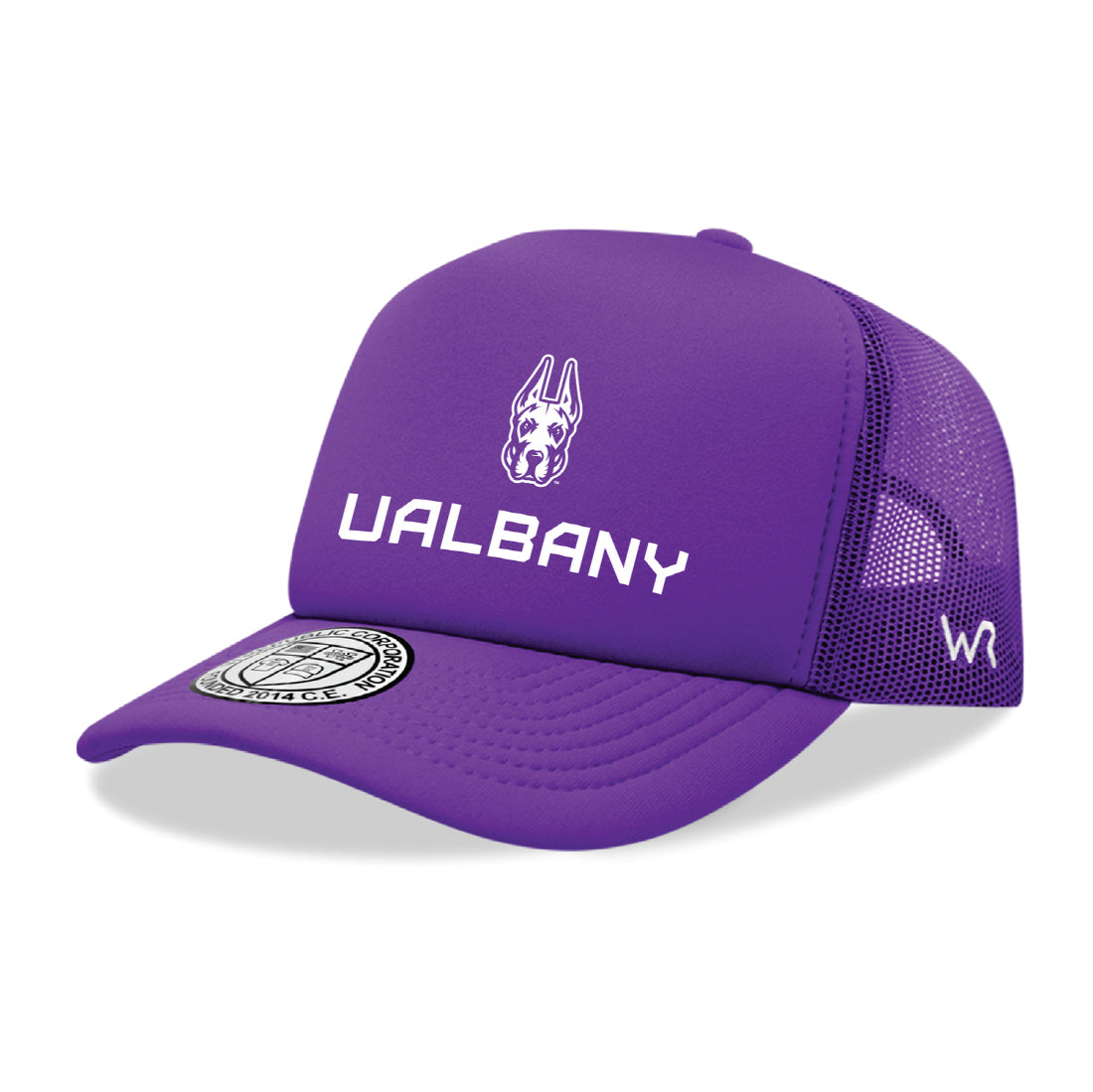 University at Albany Great Danes Seal Hat