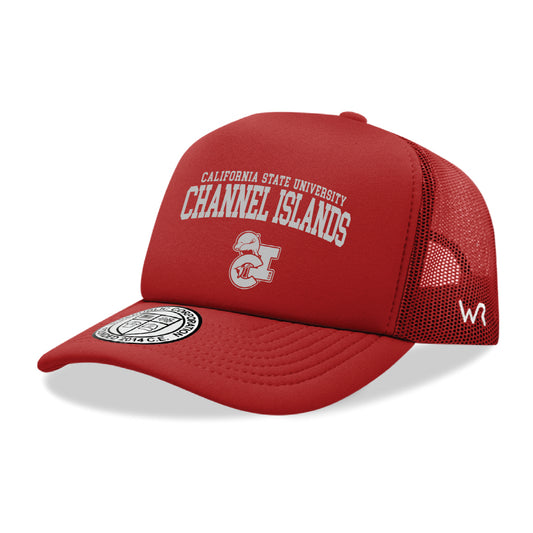 CSUCI California State University Channel Islands The Dolphins Seal Hat