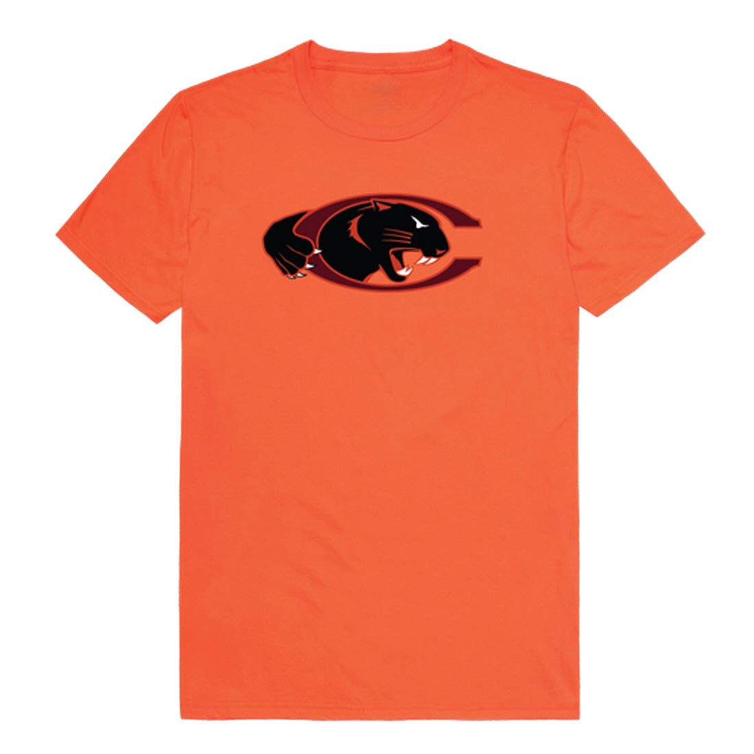 Claflin University Panthers The Freshmen Tee T-Shirt