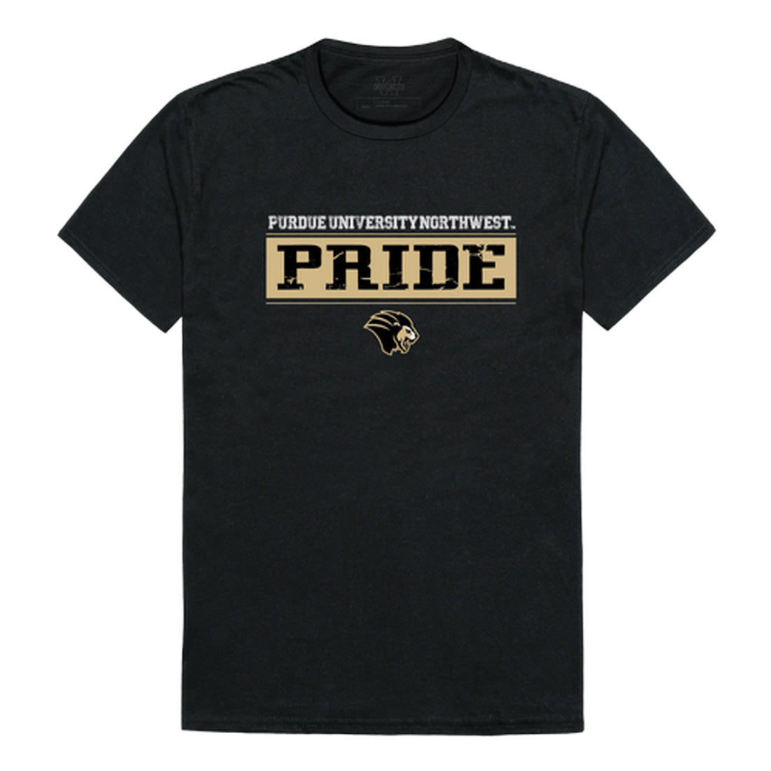 Purdue University Northwest Lion Established Tee T-Shirt