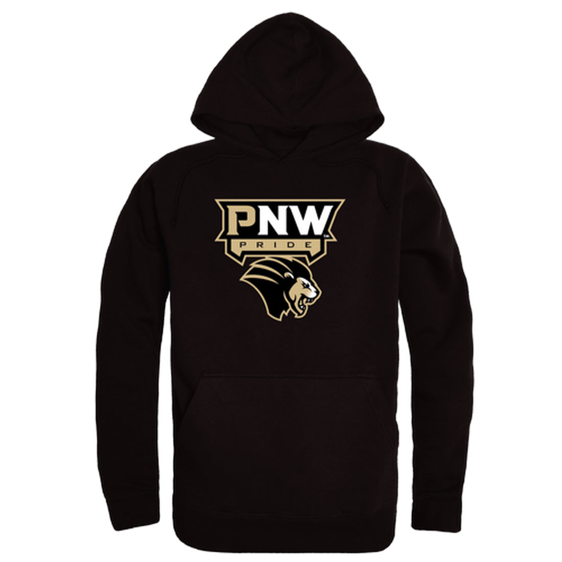 Purdue University Northwest Lion The Freshman Hoodie Sweatshirts