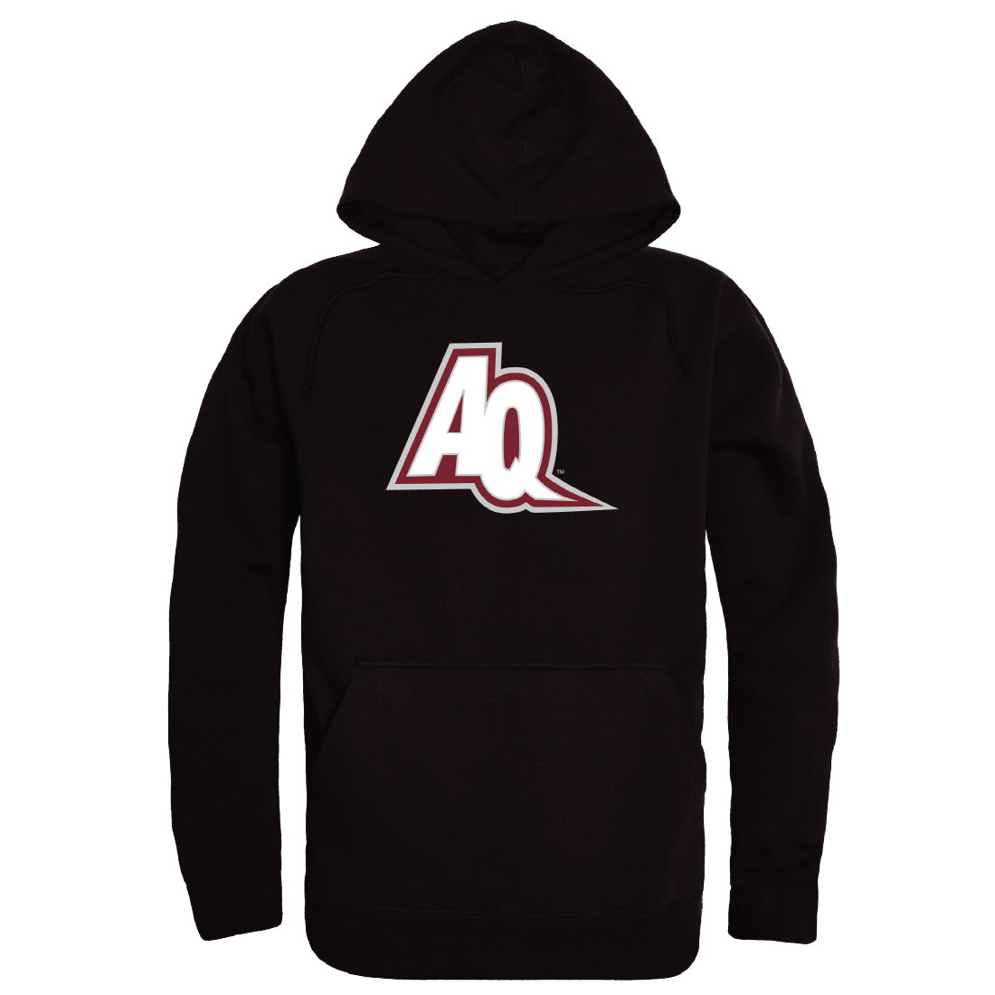 Aquinas Saints The Freshman Hoodie Sweatshirts