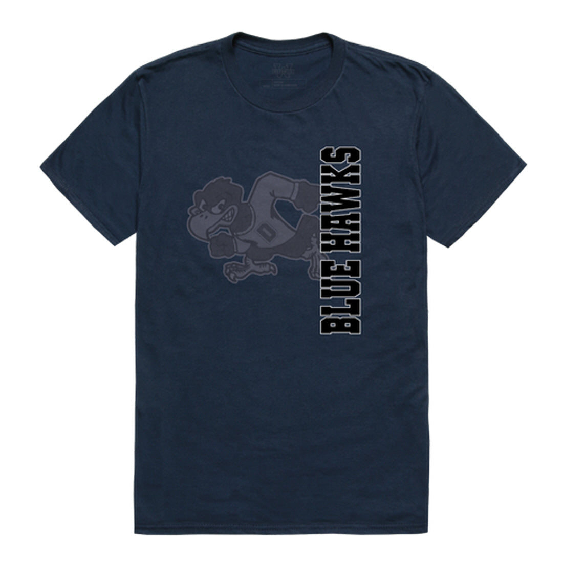 Dickinson State University Blue Hawks Ghost College Tee T-Shirt