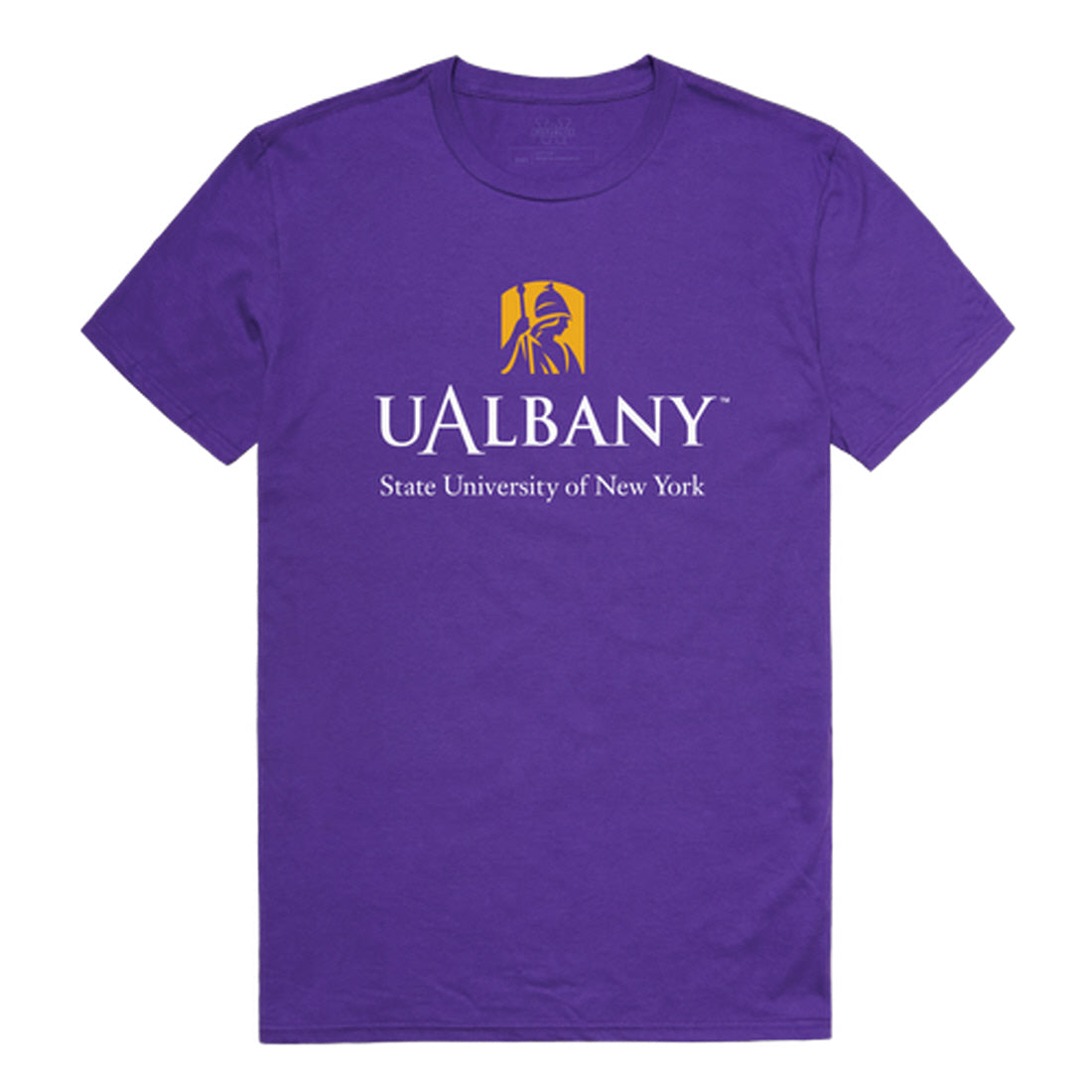 University at Albany Great Danes Institutional Tee T-Shirt