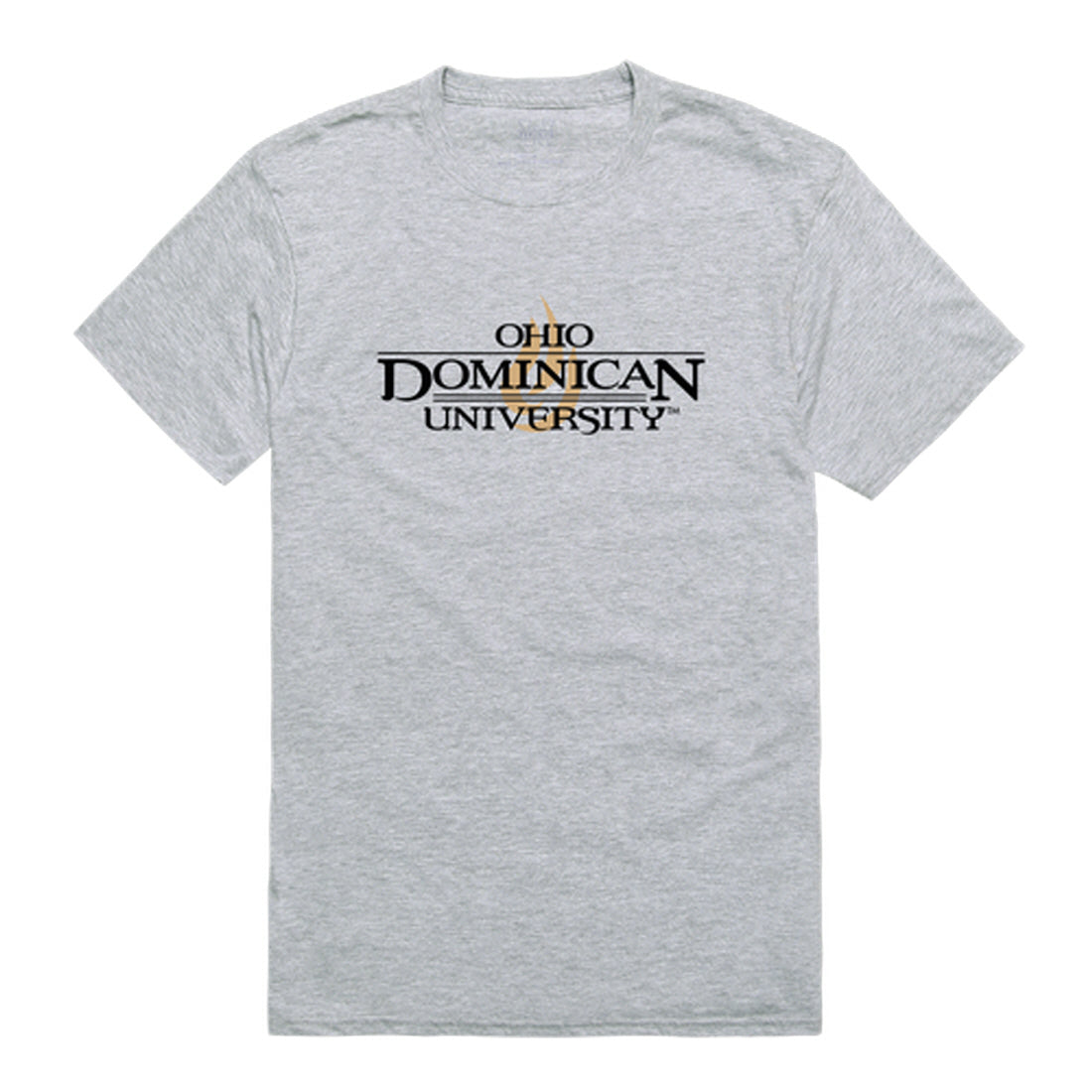 Ohio Dominican University Panthers Institutional Tee T-Shirt