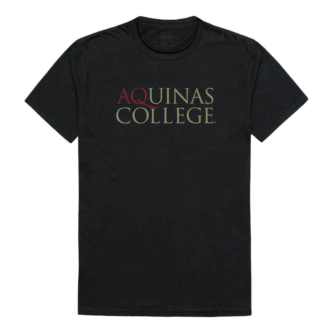 Aquinas Saints Institutional Tee T-Shirt