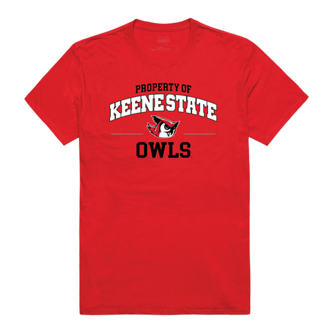 Keene State College Property College Tee T-Shirt