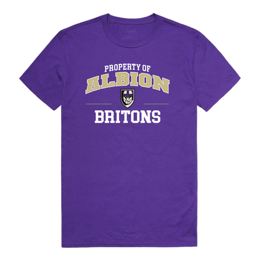 Albion College Britons Property College Tee T-Shirt