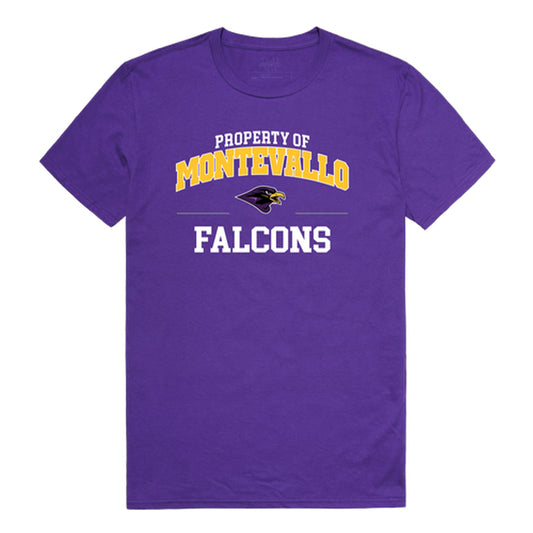 University of Montevallo Falcons Property College Tee T-Shirt