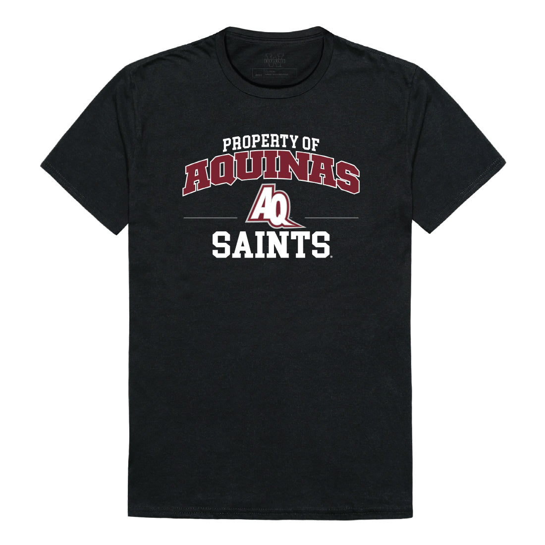 Aquinas Saints Property College Tee T-Shirt