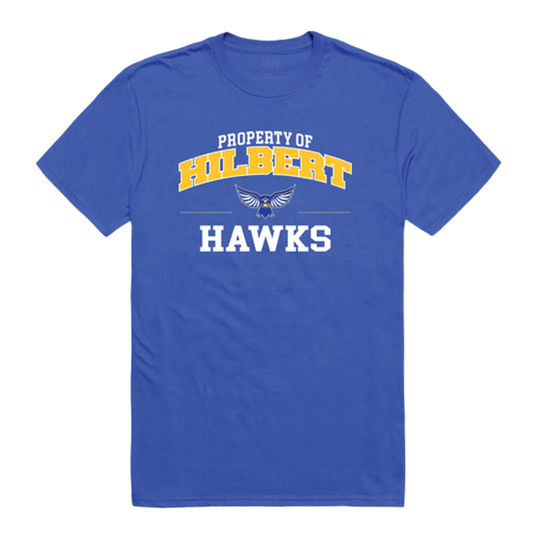 Hilbert College Hawks Property College Tee T-Shirt