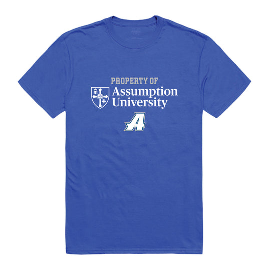 Assumption University Greyhounds Property College Tee T-Shirt