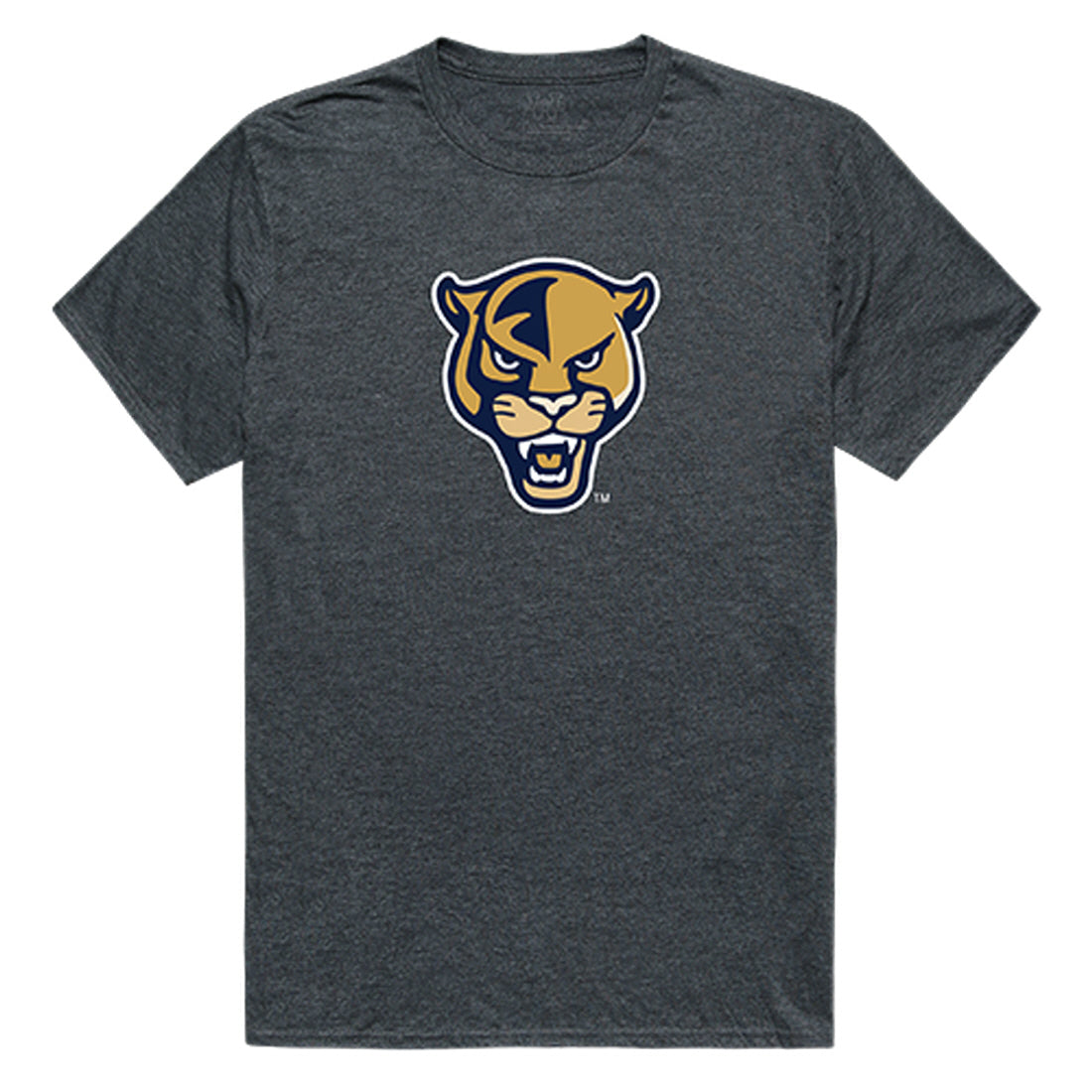 Florida International University Cinder College Tee T-Shirt