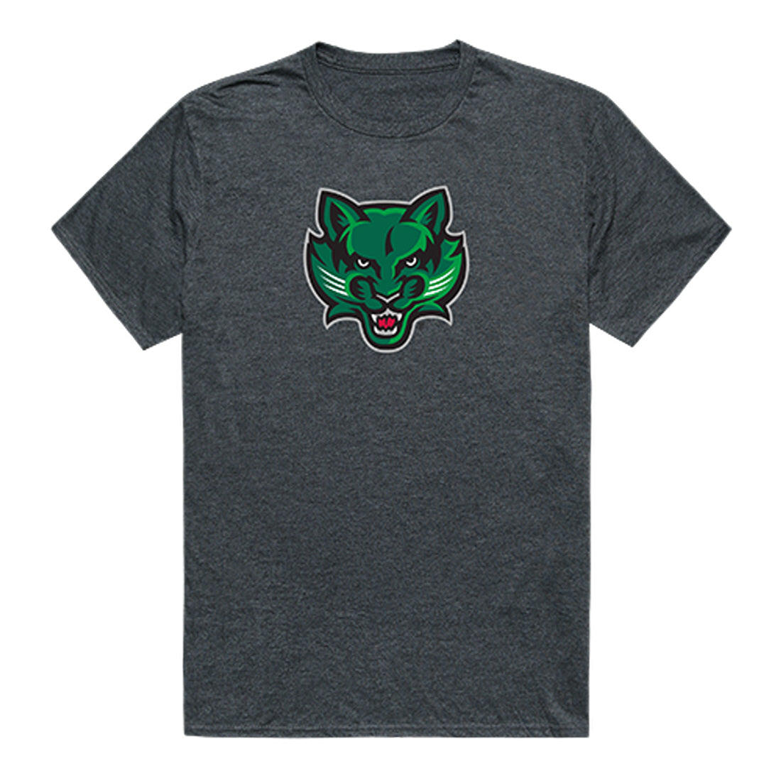 Binghamton University Bearcats Cinder College Tee T-Shirt