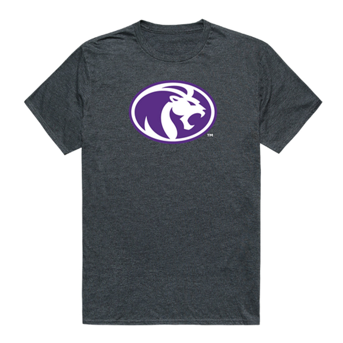 University of North Alabama Lions Cinder College Tee T-Shirt