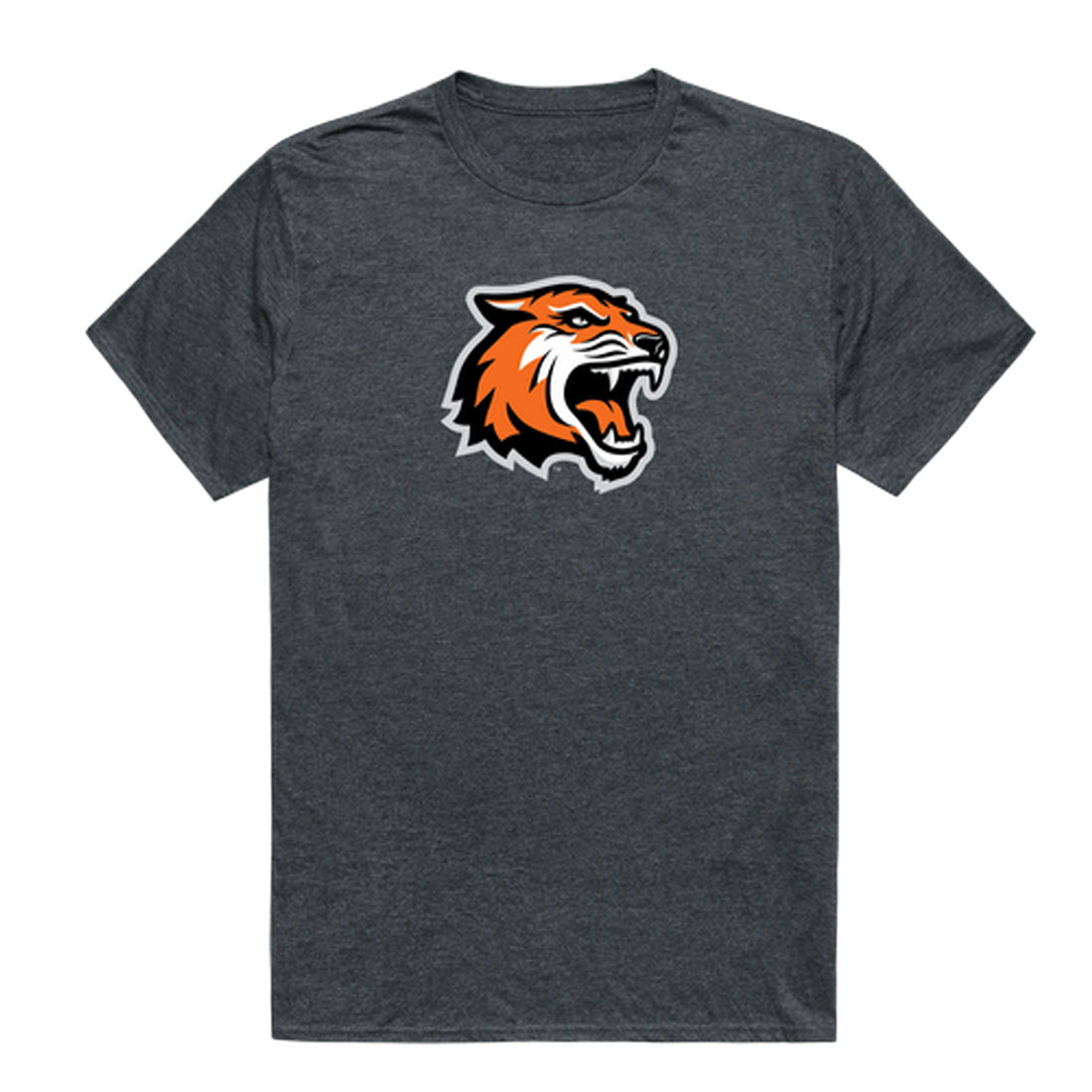 Rochester Institute of Technology Tigers Cinder College Tee T-Shirt