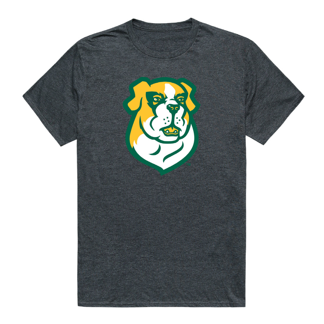 Siena College Saints Cinder College Tee T-Shirt