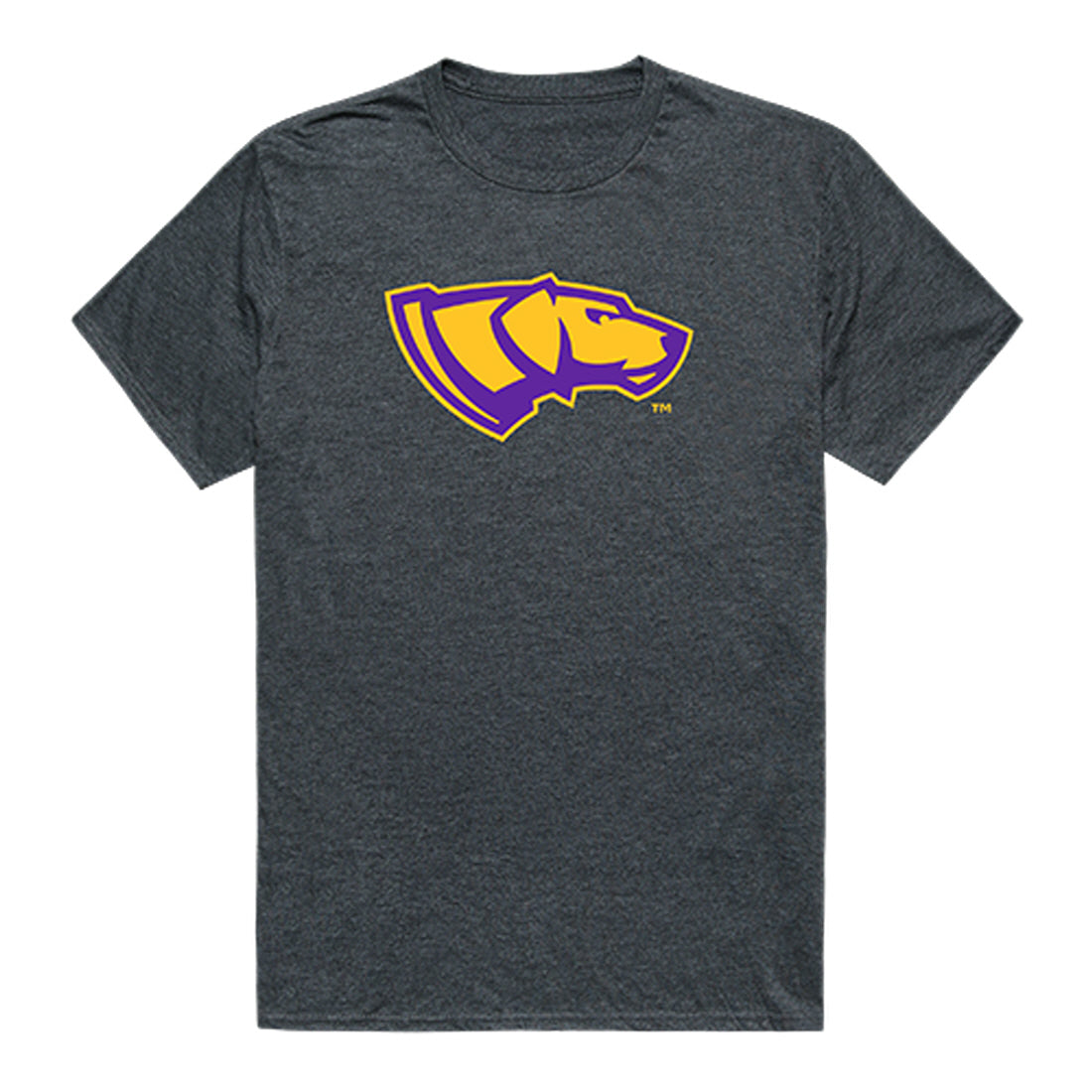 University of Wisconsin-Stevens Point Cinder College Tee T-Shirt