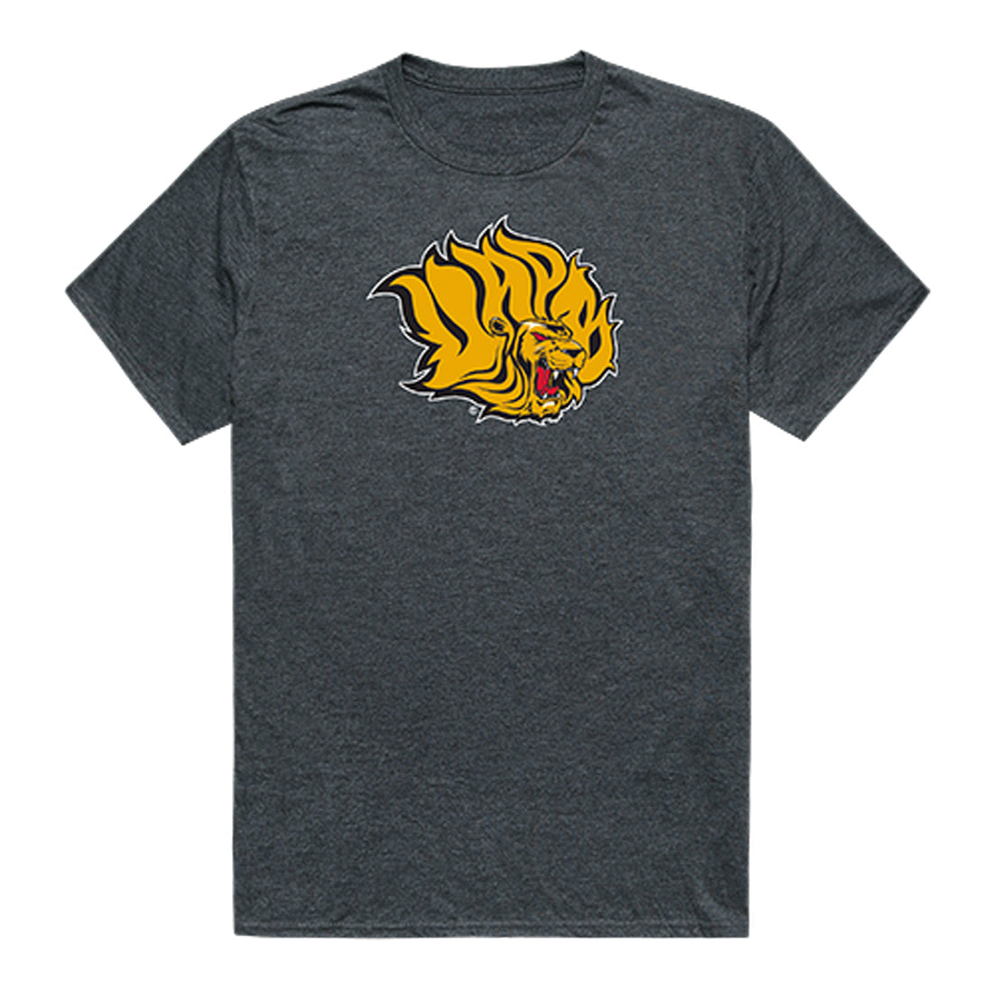 University of Arkansas at Pine Bluff Golden Lions Cinder College Tee T-Shirt