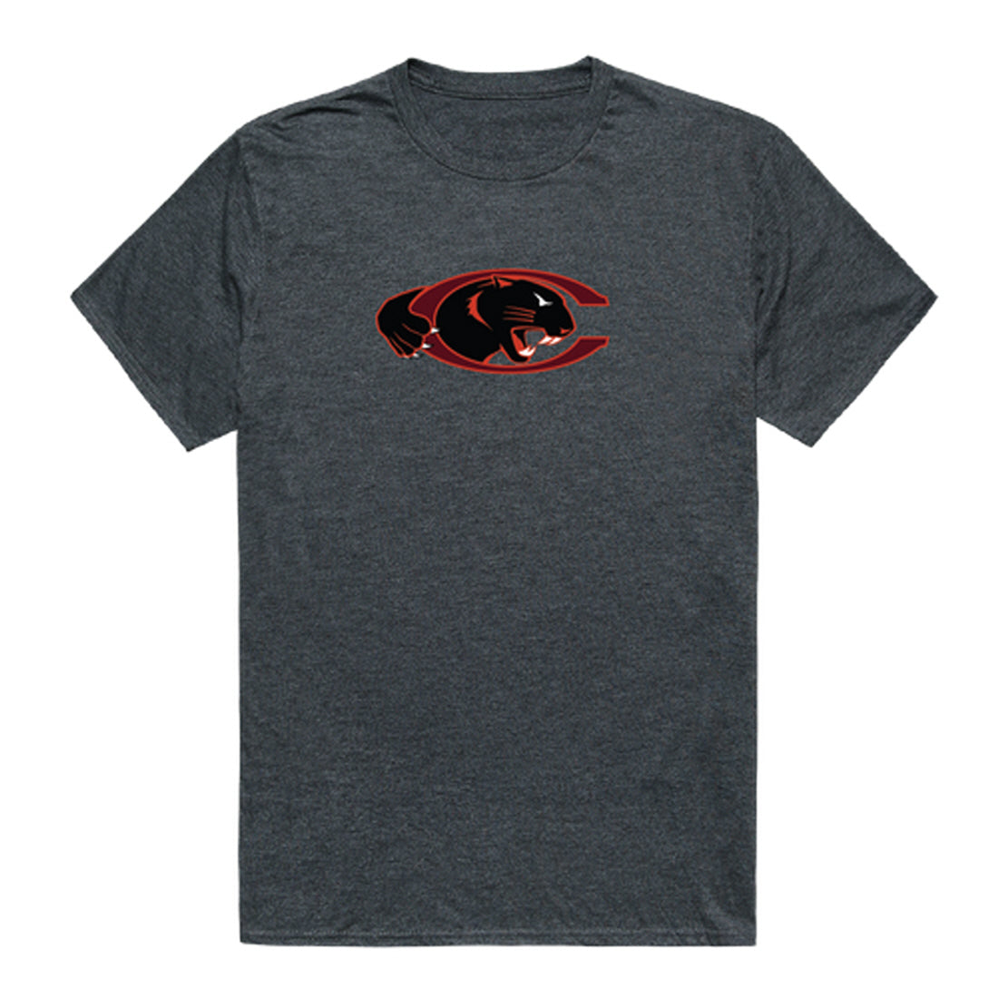 Claflin University Panthers Cinder College Tee T-Shirt