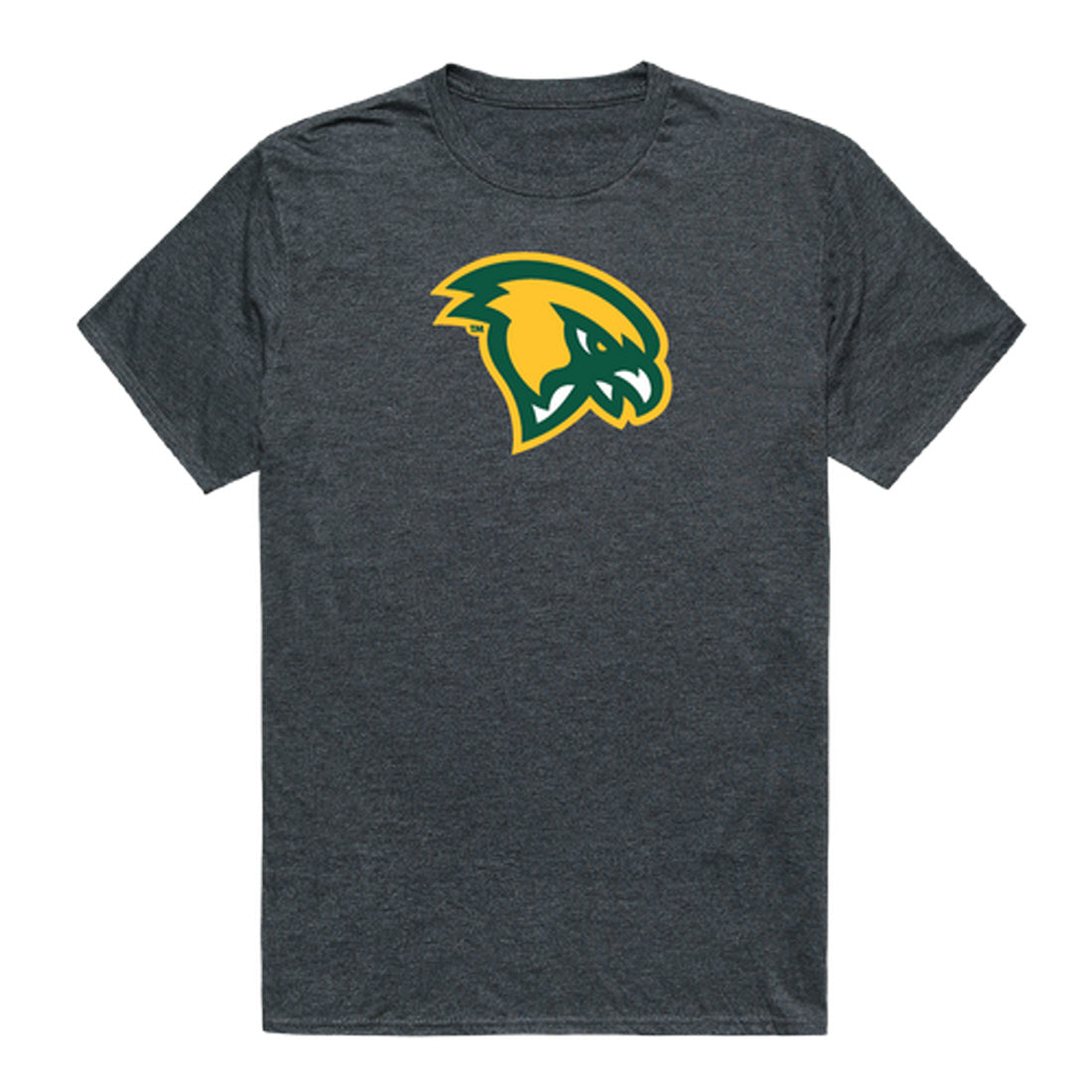 Fitchburg State University Falcons Cinder College Tee T-Shirt