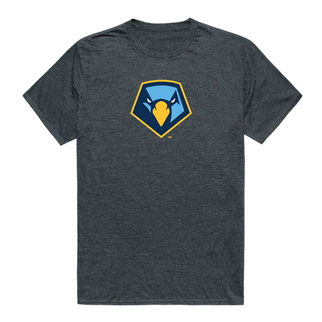 Point University Skyhawks Cinder College Tee T-Shirt