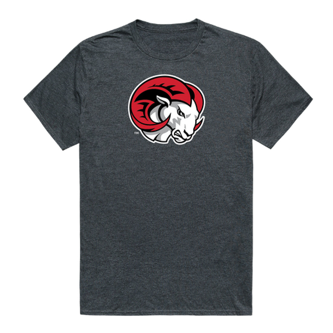 Winston-Salem State Rams Cinder College Tee T-Shirt