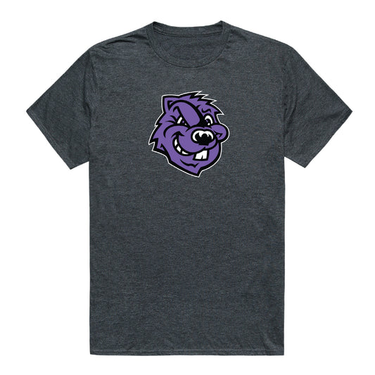 CCNY Beavers Cinder College Tee T-Shirt