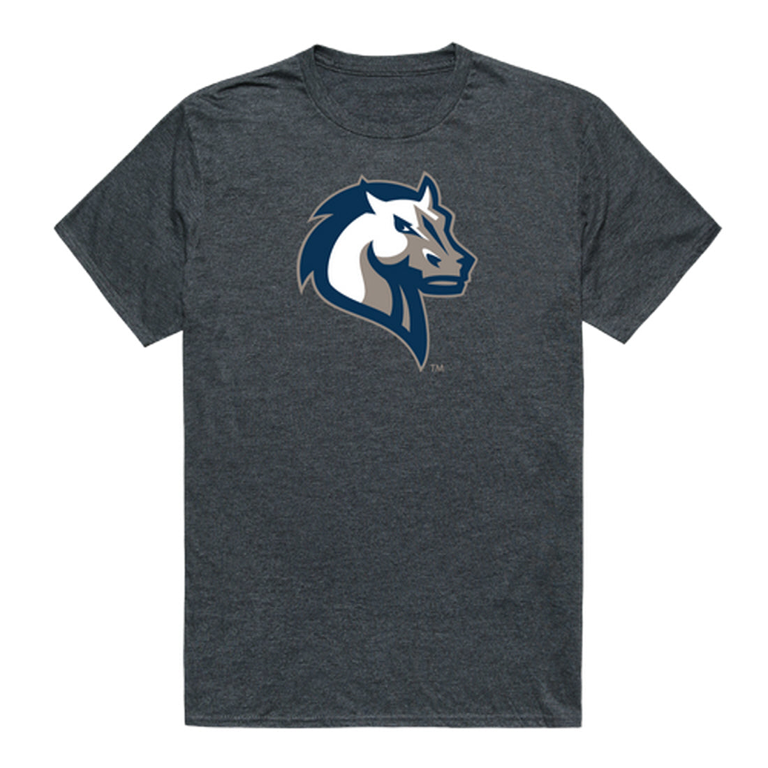 Mercy College Mavericks Cinder College Tee T-Shirt