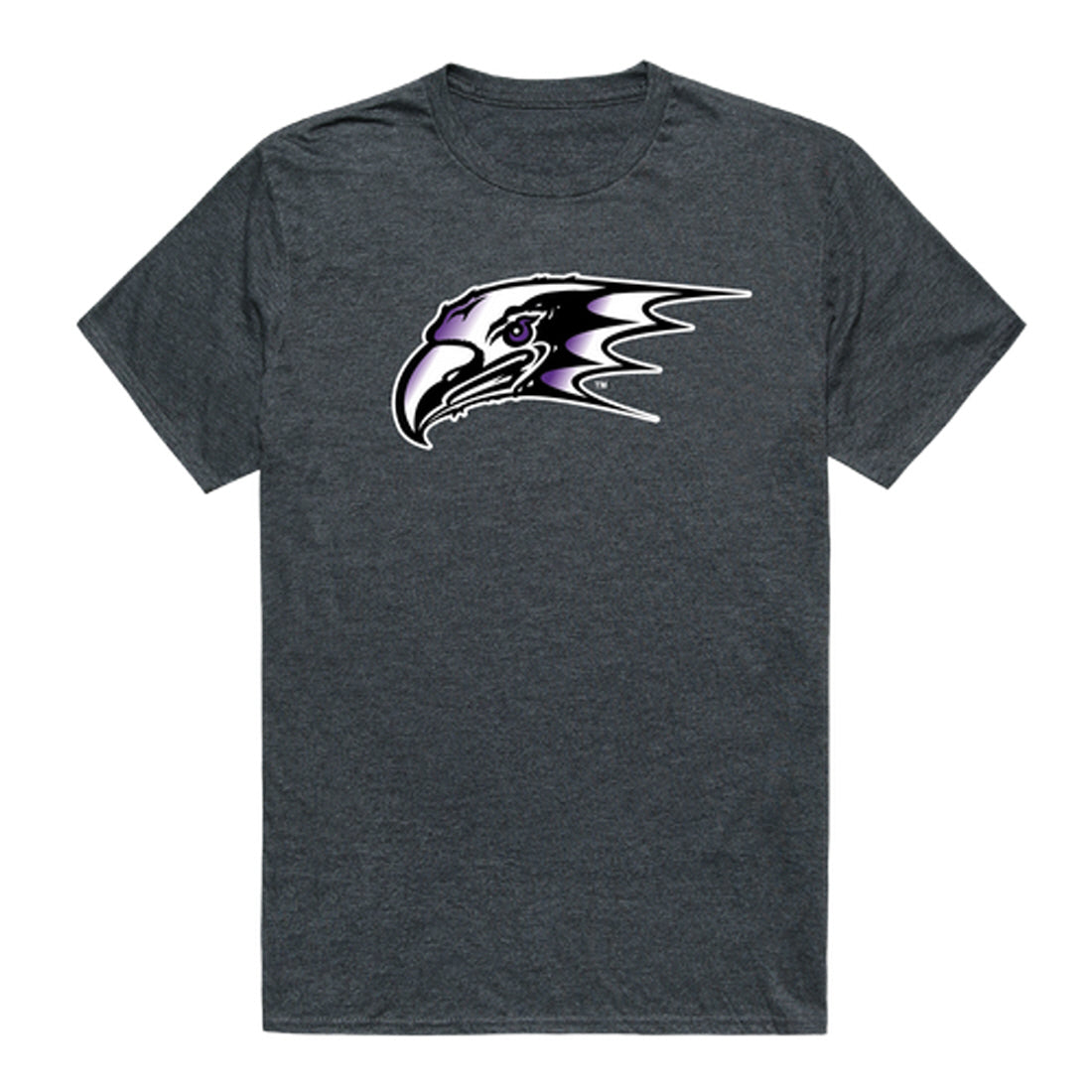 Niagara University Purple Eagles Cinder College Tee T-Shirt