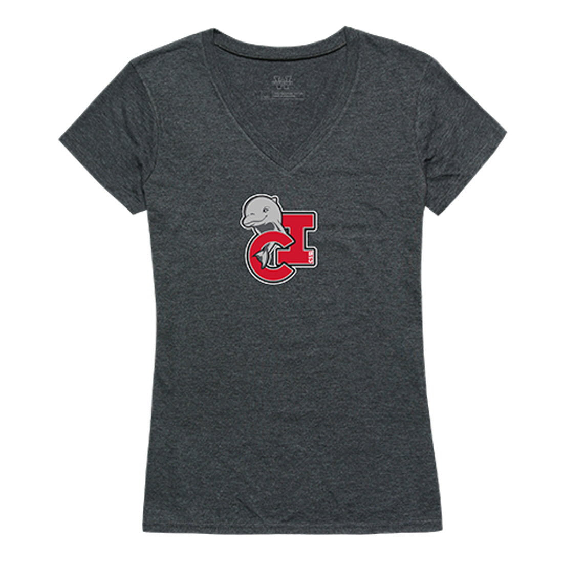 CSUCI California State University Channel Islands The Dolphins Women's Cinder Tee T-Shirt