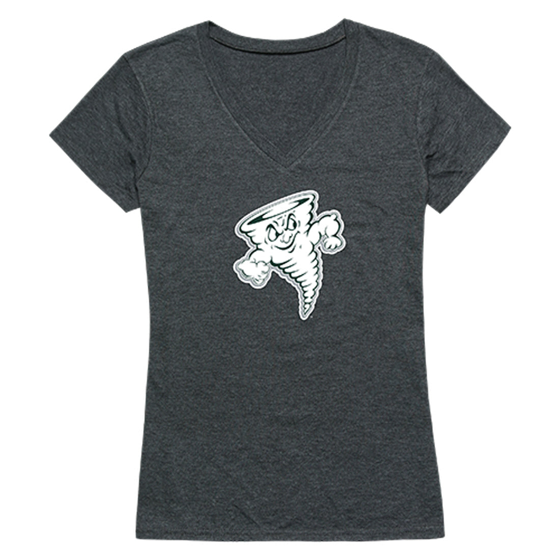 Lake Erie College Storm Women's Cinder Tee T-Shirt