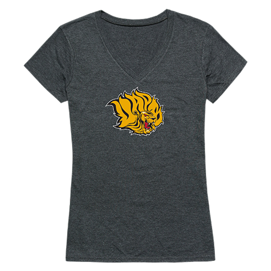 University of Arkansas at Pine Bluff Golden Lions Women's Cinder Tee T-Shirt