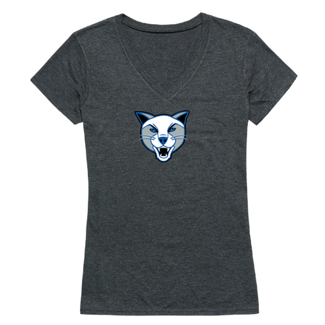 Daemen College Wildcats Women's Cinder Tee T-Shirt