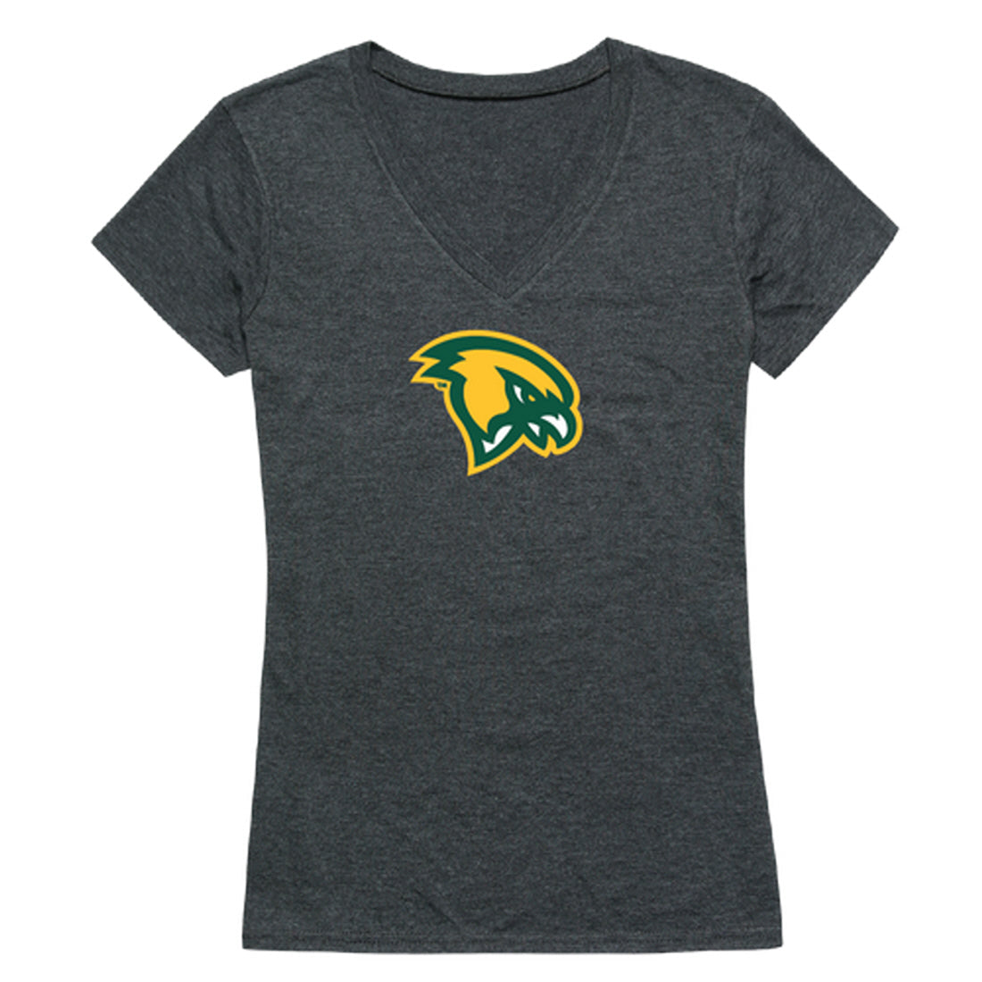 Fitchburg State University Falcons Women's Cinder Tee T-Shirt