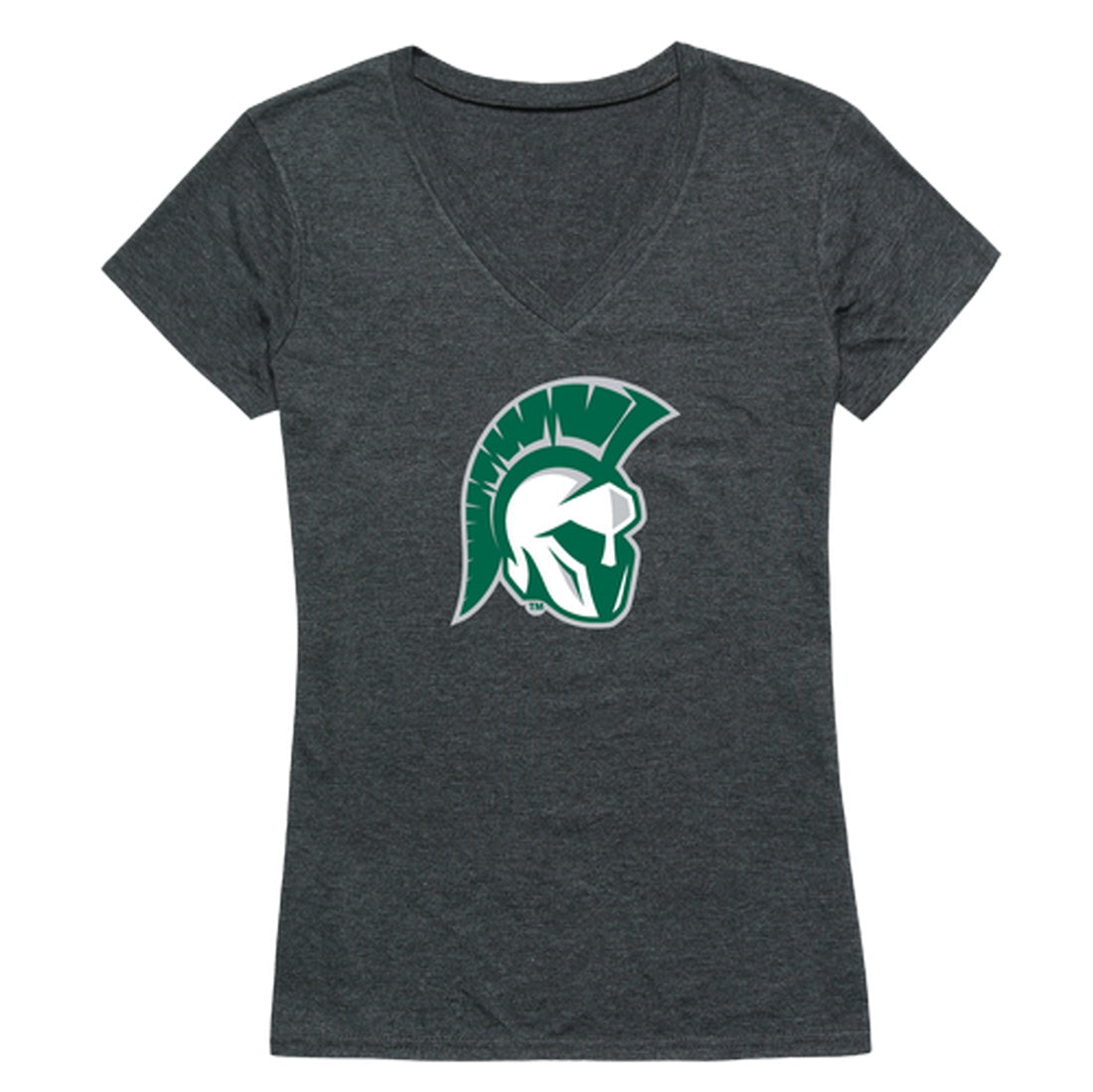 Illinois Wesleyan University Titans Women's Cinder Tee T-Shirt