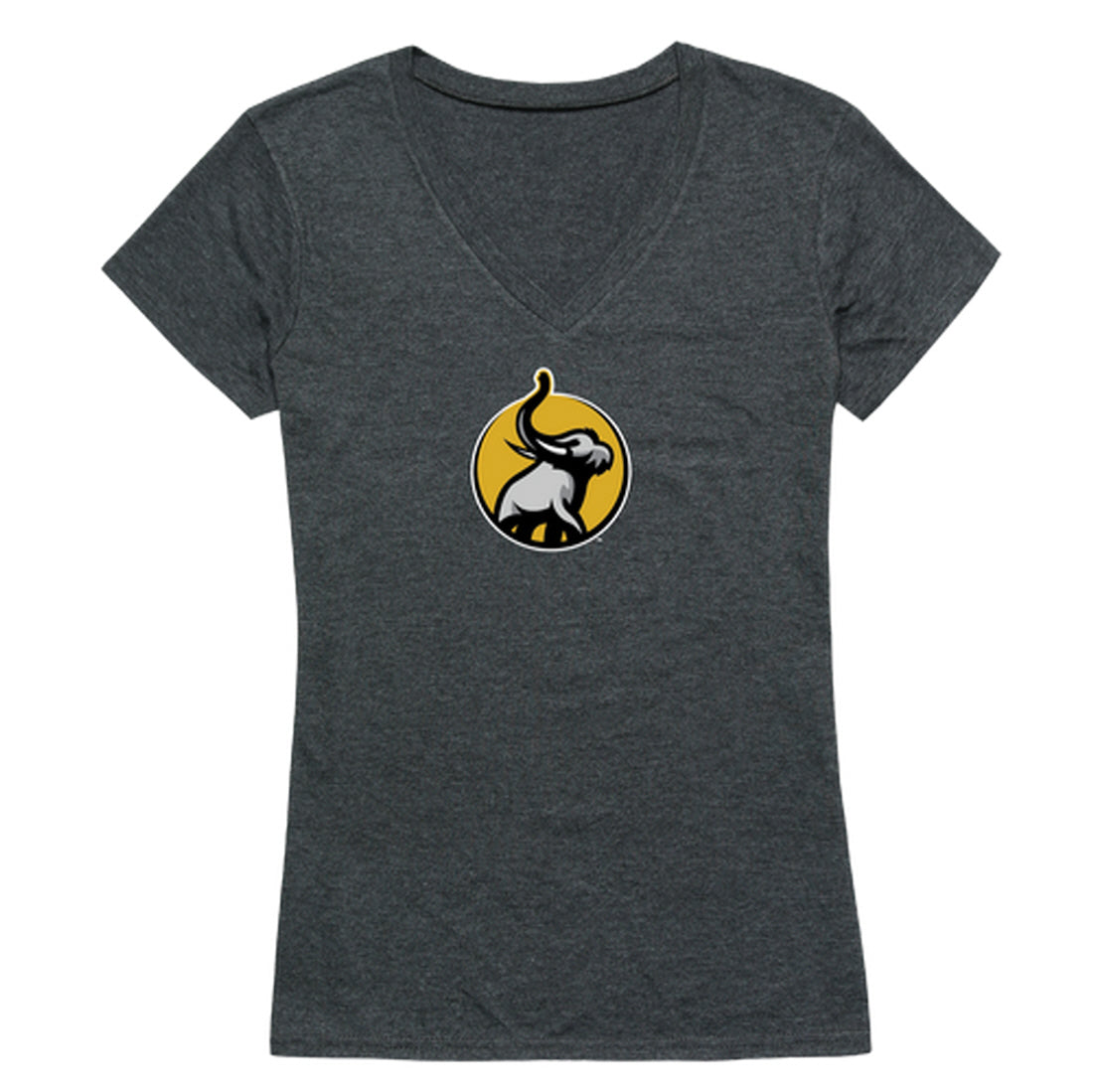 Purdue University Fort Wayne Mastodons Women's Cinder Tee T-Shirt